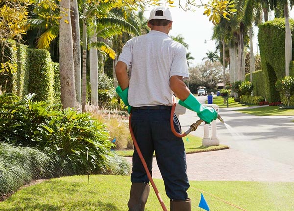 About New Boston MI Pest Control Pros